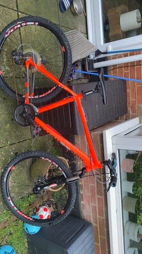 Mountain bike - mountain,